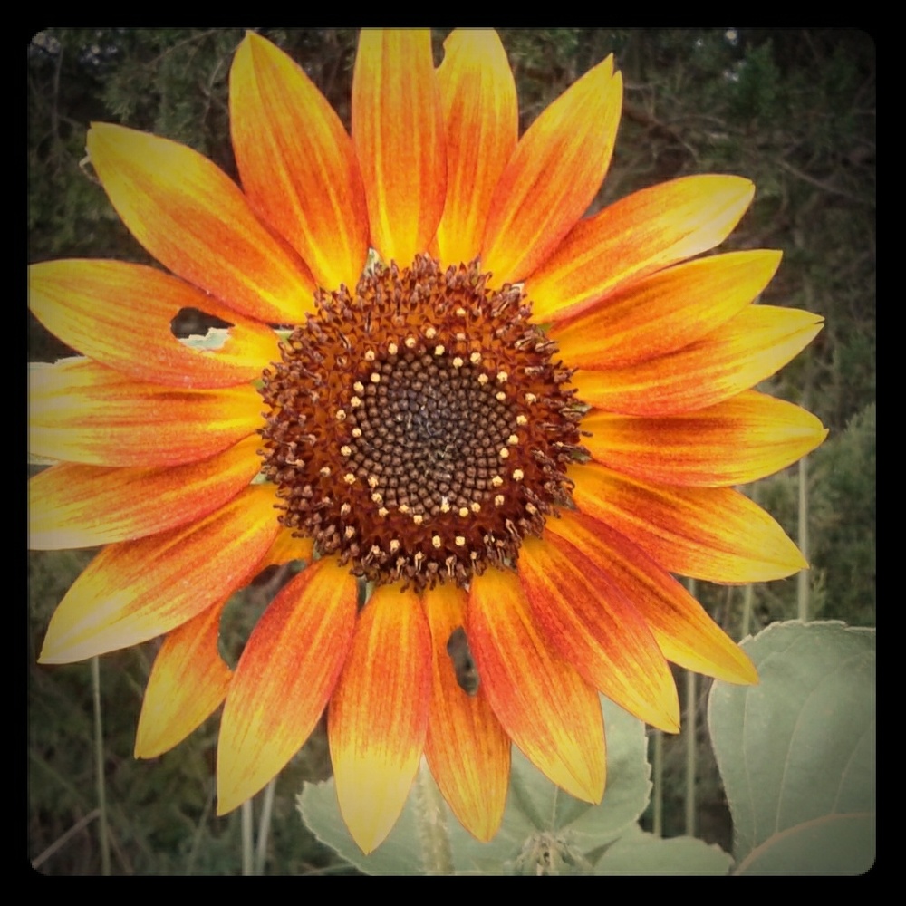 Please make me an offer♡